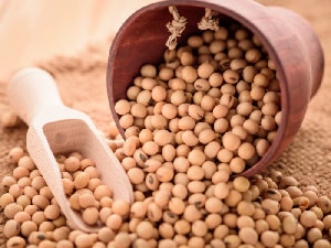 Soybeans emerge as a promising cash crop to bolster Ghana’s economic growth