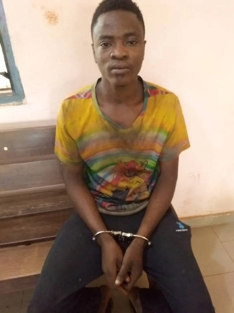 Court jails 20-year-old mobile phone thief 6 months