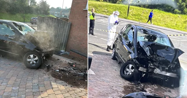 Pedestrian and biker die in separate collisions; man detained