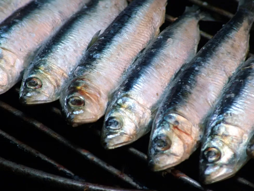 British and Irish citizens unwell after eating Bordeaux sardines in France