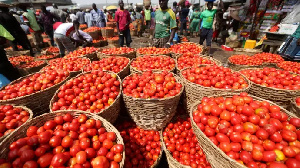 Ghanaians will feel the tomato import ban heavily – MoFA official warns