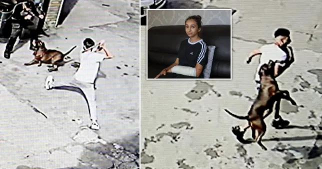 Birmingham police detain 60-year-old man after XL bulldog attack