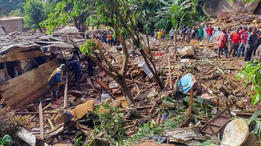 Number of casualties from landslide in Cameroon increases to 30