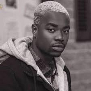 DarkoVibes releases album ‘BUTiFLY’, which features Wizkid, Davido, M.anifest, King Promise