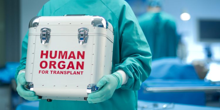 Kidney disease: Parliament urged to pass life-saving organ donation law