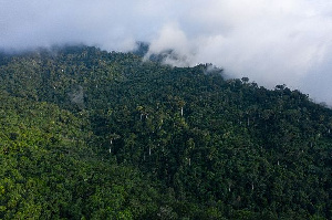 Bauxite mining can be done in Ghana while preserving forest reserves – Godfried Ayisi