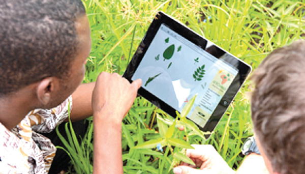 Green technology offers employment prospects for the youth in Africa