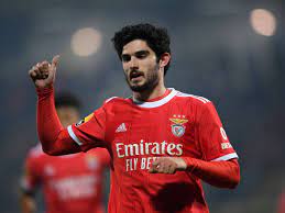 Guedes hopes to remain with Benfica