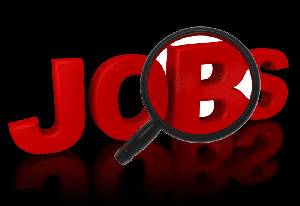 Job advertisements increase by 6.6% in first 8 months of 2023