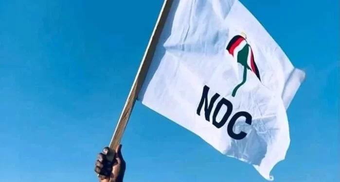 EC’s refusal to learn could cause chaos in 2024 elections – NDC warns