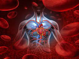 Poor blood circulation: Warning signs you shouldn’t ignore