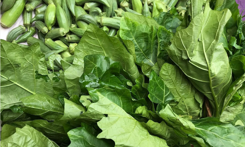 Green leafy vegetables key to healthy growth – IMaH Dietician