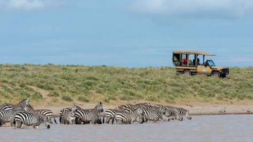 Serengeti becomes Africa’s best park for the seventh time
