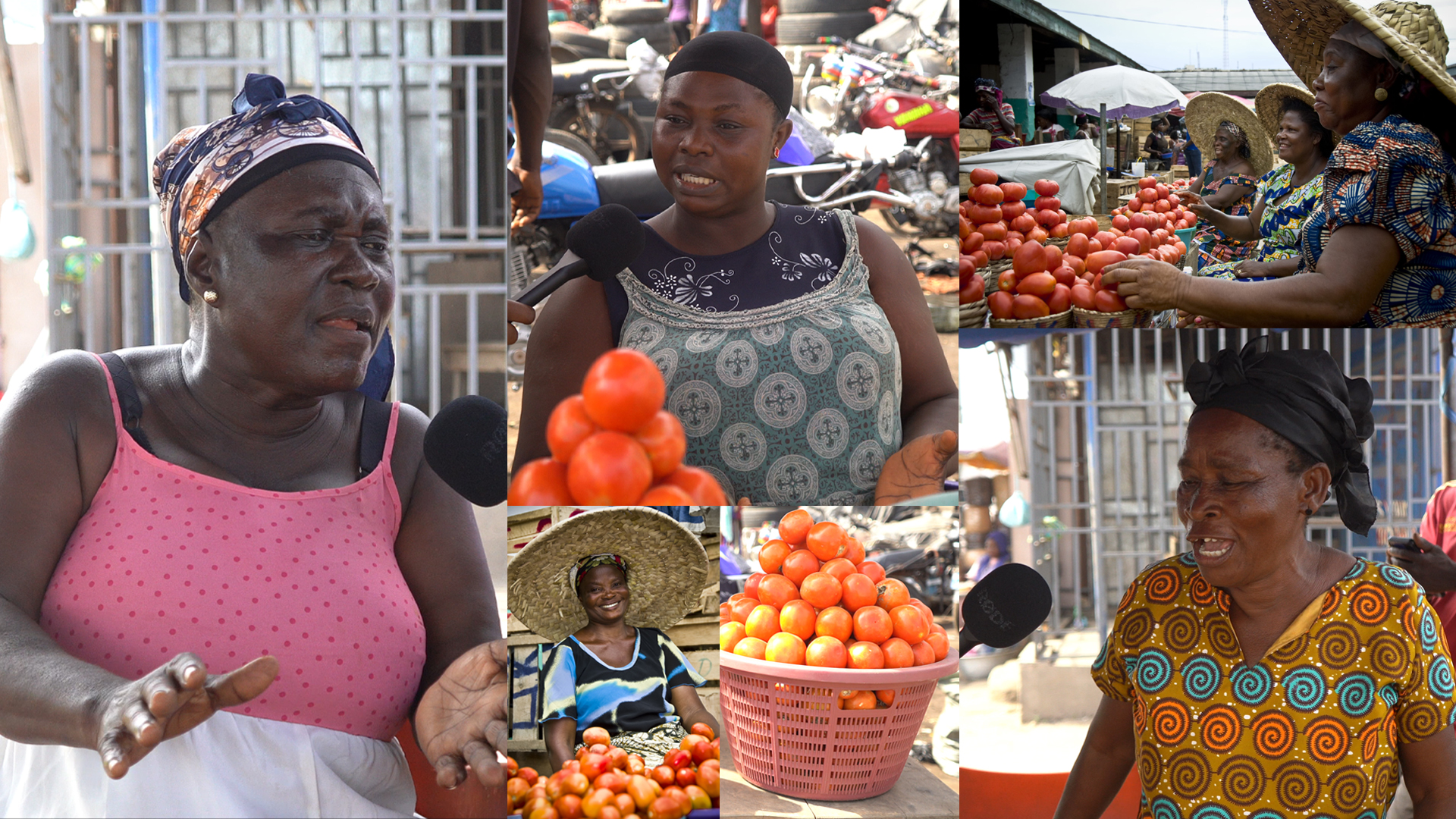300% price increase in tomato affecting our livelihood – Agbogbloshie market women cry out