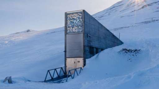 Ghana deposits seeds in Svalbard Global Seed Vault to protect major food crops