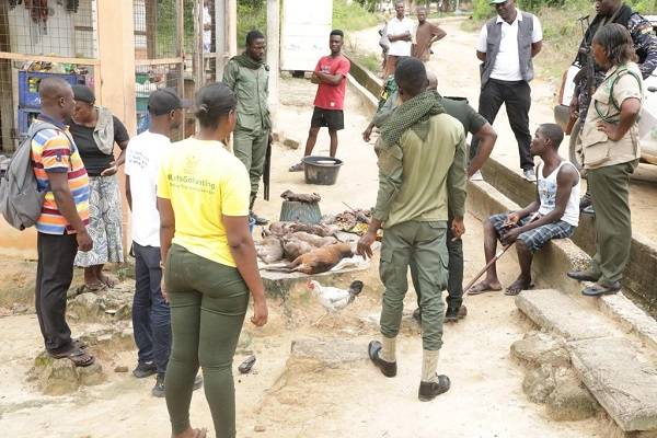 10 arrested for hunting and selling bush meat