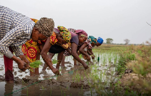 Professor Twumasi advocates for investment in rural female farmers