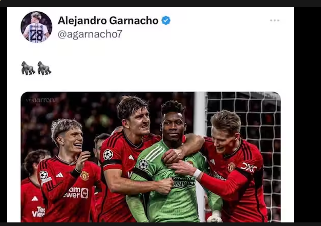 Onana not ‘offended’ by Alejandro ‘gorilla tweet’, defends teammate over racism row