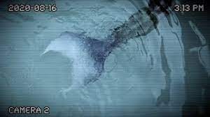 VIDEO: A mermaid spotted swimming in a lake in South Africa