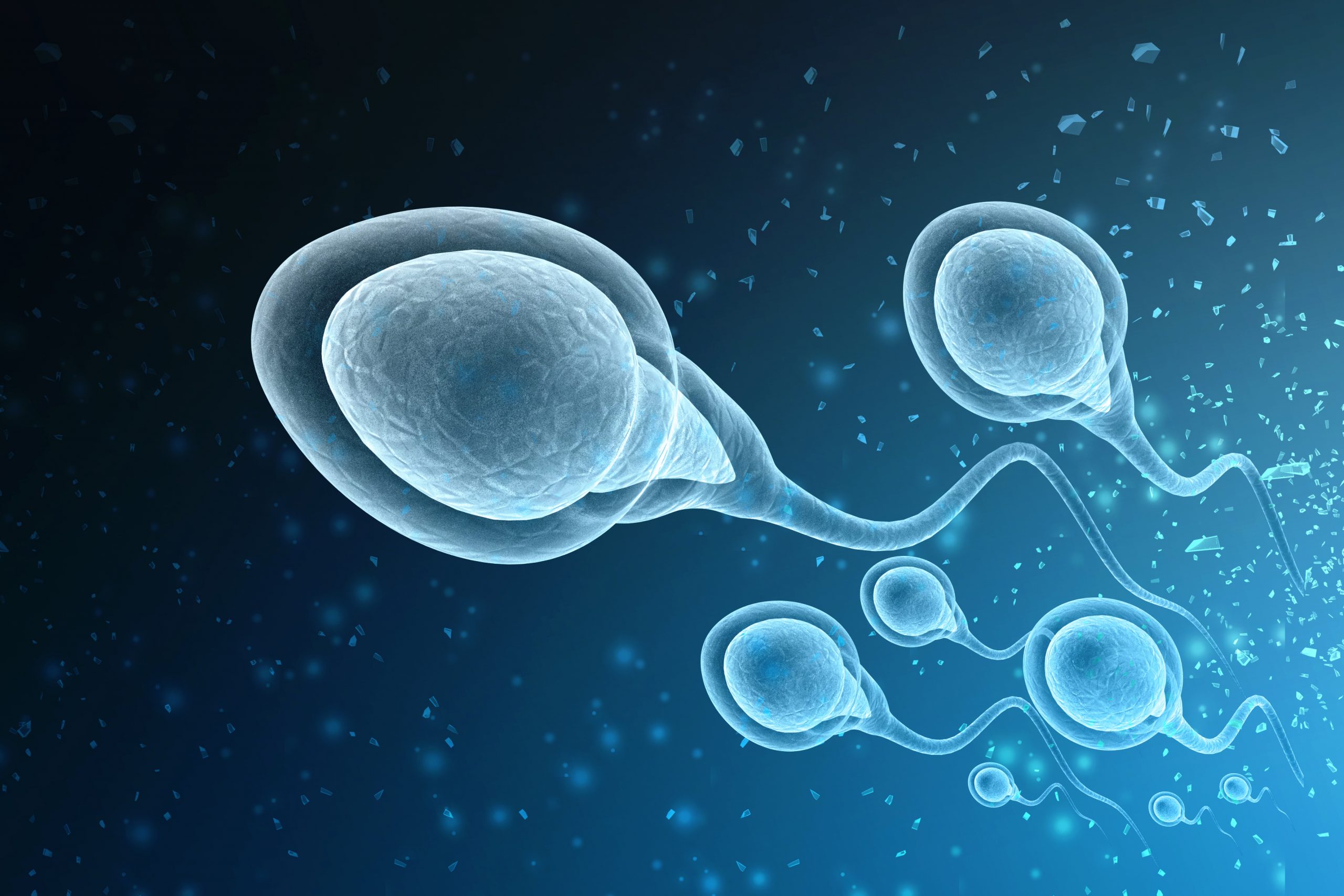 Importance of semen in a woman’s body aside from reproduction