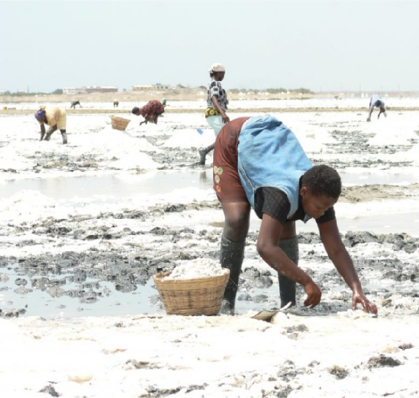 2,500 people to be employed by Electrochem for manual mining