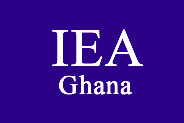 IEA urges parliamentary caution on lithium contract for modern agreement