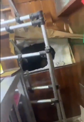 Shop owner robbed of 2 gold bars, cash in Opera Square