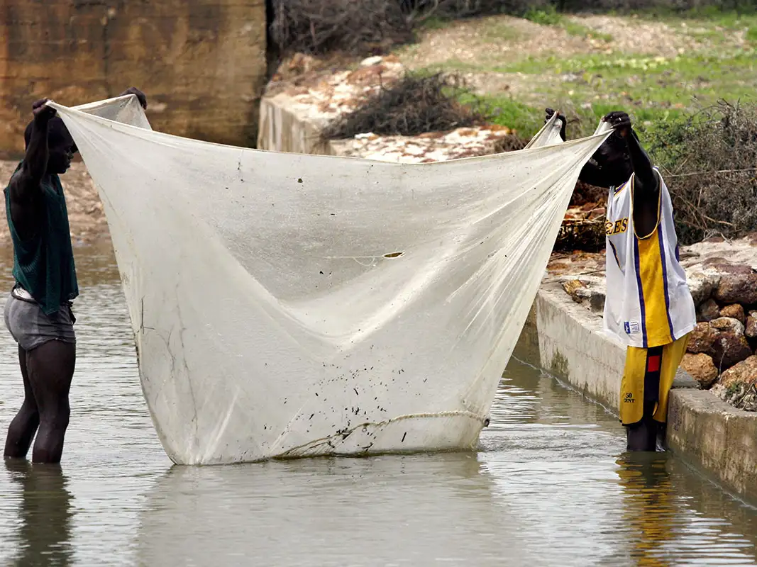 Mosquito nets being used for fishing, fencing gardens – Parliament’s Health Committee