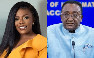 Delegates who voted for Akoto Afriyie, Addai-Nimo did great – Nana Aba teases