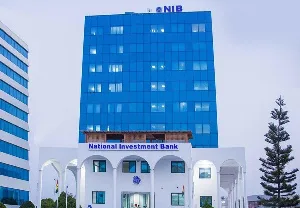 Government’s move to recapitalize NIB long overdue – John Gatsi