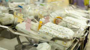 Premature babies wrapped in foil to keep them alive in Gaza