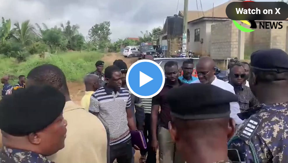 Video: Kennedy Agyapong casts his ballot