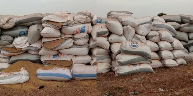 Farmerline denies contract breach with Builsa South rice farmers