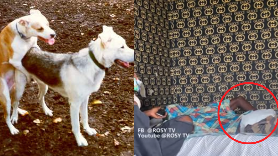 “I need help”! – Nigerian man battles a mysterious disease after sleeping with dogs to save sick mother