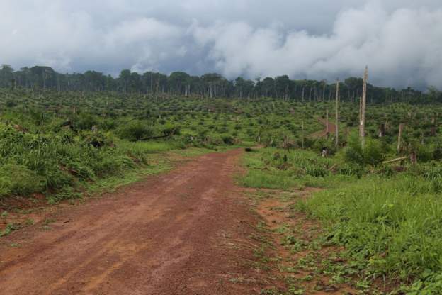 DR Congo signs contract for Congo basin carbon credits