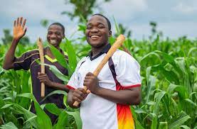 Embrace emerging digital agribusiness solutions – Smallholder farmers told