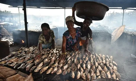 Smoking fish is hell for us – Fishmongers