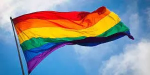 Stop politicizing Anti-LGBTQ legislation, it will impede its approval – Majority to Minority