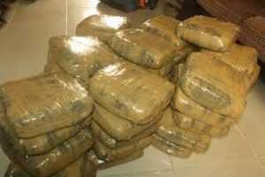Eastern Region: 12,600 slabs of compressed cannabis intercepted at Dodi