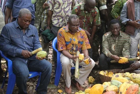 Cocoa farmers receive GHS237m payment from COCOBOD