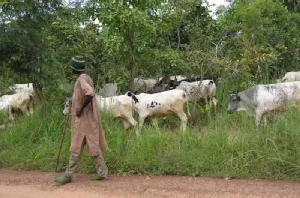 Protect us and our wives from Fulanis – District Best Farmer to govt
