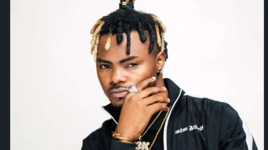 Oladips was unconscious for 3 days, he did not die – Aide says