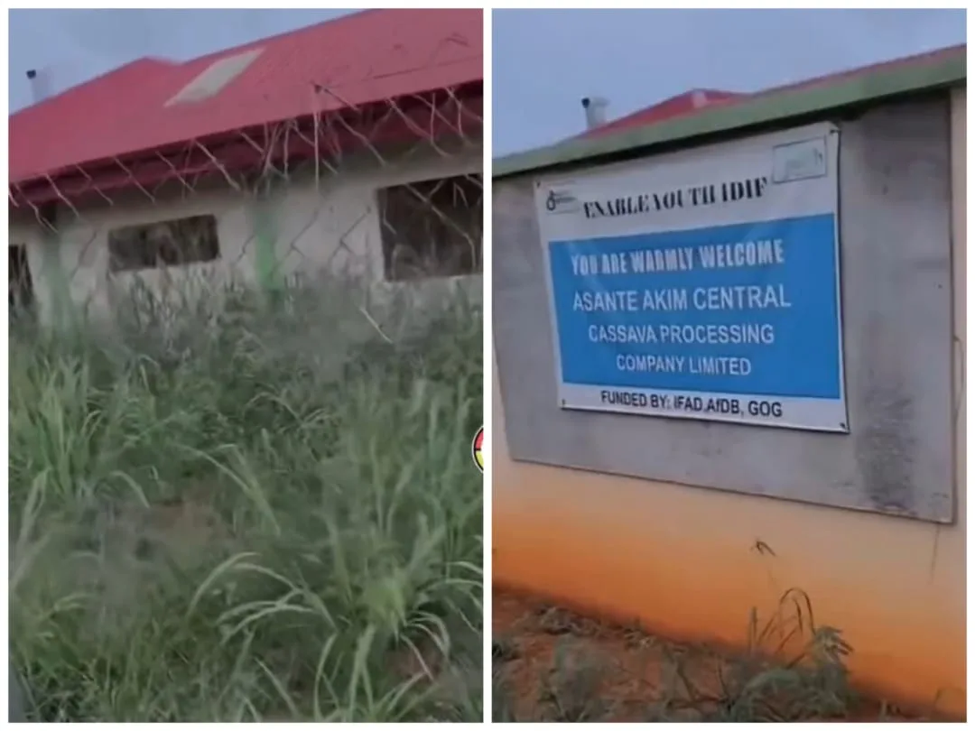“Chamber and Hall” 1D1F Cassava Factory in Asante Akim taken over by rats and rodents