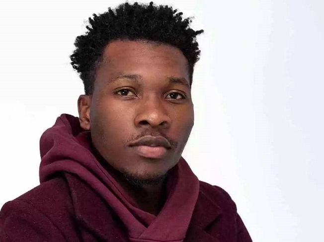 Ghana music industry requires substantial investment to make it a global powerhouse – Article Wan