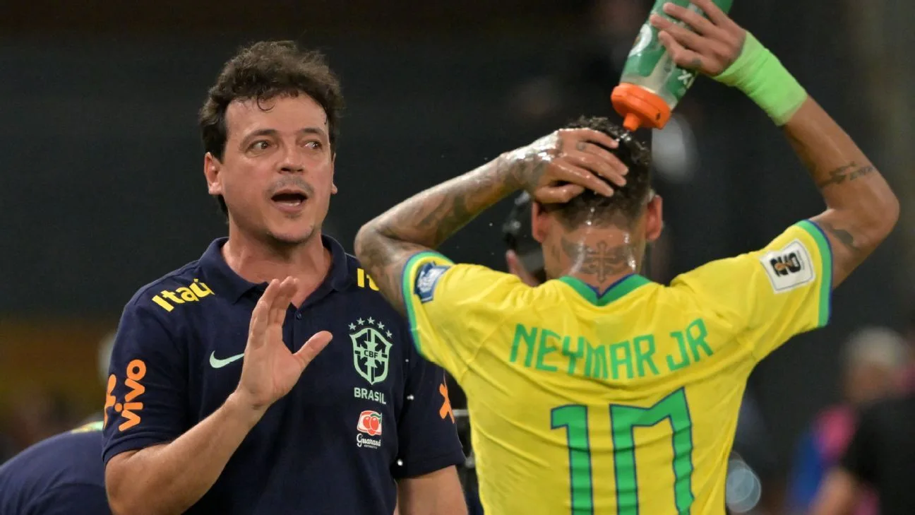 Brazil dismisses interim coach Diniz following Ancelotti’s rejection