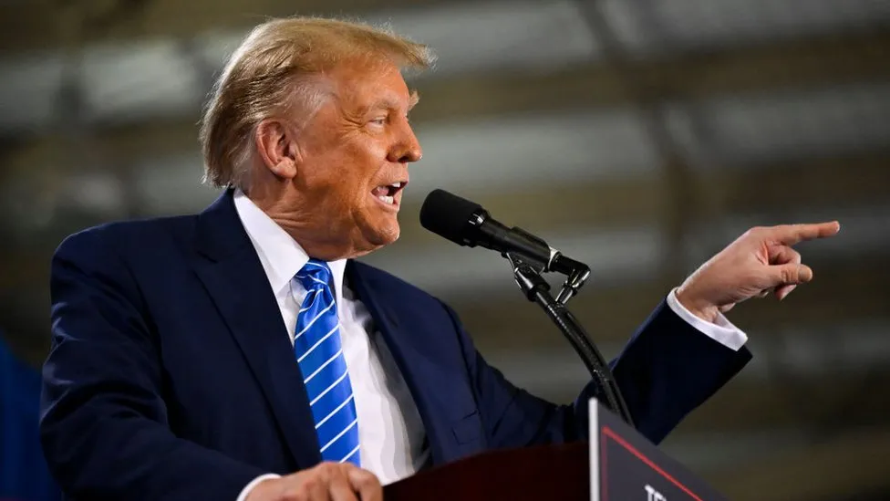 Trump tax return leaker receives maximum imprisonment