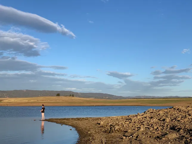 Toddler dies at vacation park after being struck by truck in New South Wales
