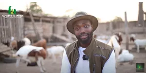 Berekum Traditional Council refutes allegations of eviction of GHS1m goat farm investor