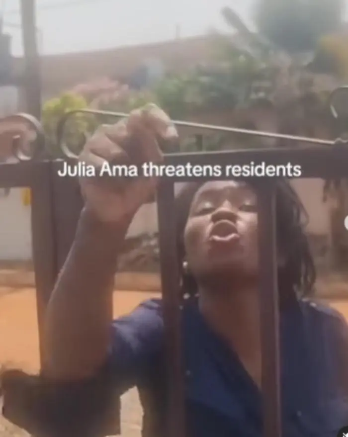 Ghanaian woman sparks outrage with bigoted attacks on Nigerian neighbor in Accra