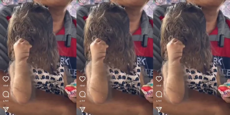 Little girl with hair all over her face like monkey trends on social media, netizens react